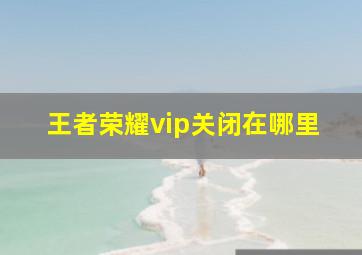 王者荣耀vip关闭在哪里