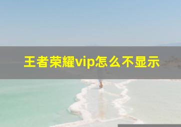 王者荣耀vip怎么不显示