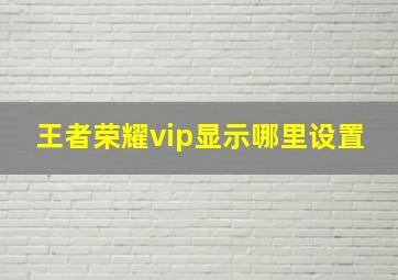 王者荣耀vip显示哪里设置