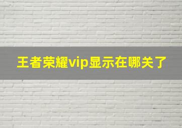 王者荣耀vip显示在哪关了