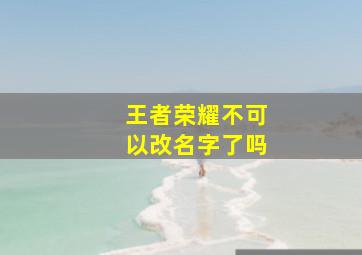 王者荣耀不可以改名字了吗