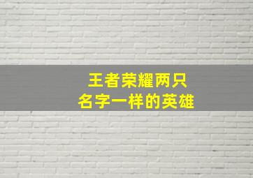 王者荣耀两只名字一样的英雄