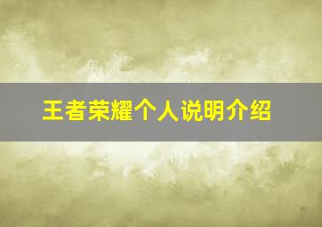 王者荣耀个人说明介绍