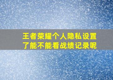 王者荣耀个人隐私设置了能不能看战绩记录呢