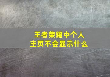 王者荣耀中个人主页不会显示什么