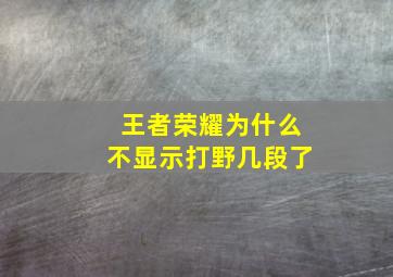 王者荣耀为什么不显示打野几段了