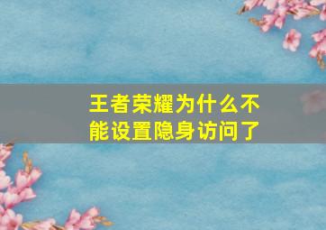 王者荣耀为什么不能设置隐身访问了