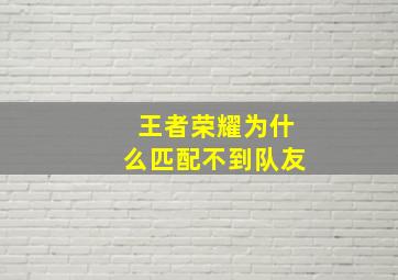 王者荣耀为什么匹配不到队友