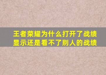 王者荣耀为什么打开了战绩显示还是看不了别人的战绩