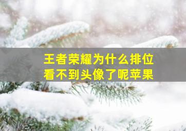 王者荣耀为什么排位看不到头像了呢苹果