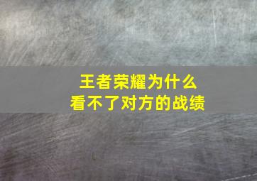 王者荣耀为什么看不了对方的战绩