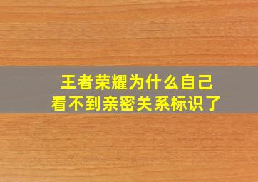 王者荣耀为什么自己看不到亲密关系标识了