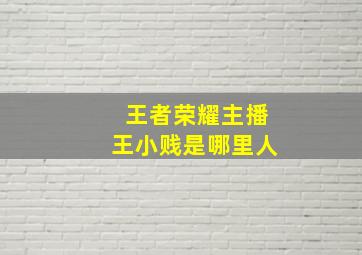 王者荣耀主播王小贱是哪里人