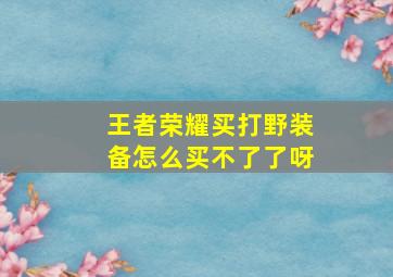 王者荣耀买打野装备怎么买不了了呀