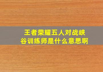 王者荣耀五人对战峡谷训练师是什么意思啊