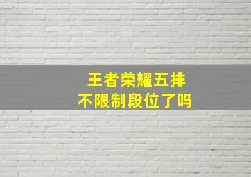 王者荣耀五排不限制段位了吗