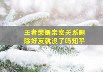 王者荣耀亲密关系删除好友就没了吗知乎