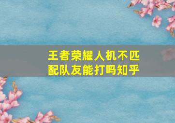 王者荣耀人机不匹配队友能打吗知乎