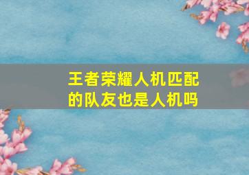 王者荣耀人机匹配的队友也是人机吗