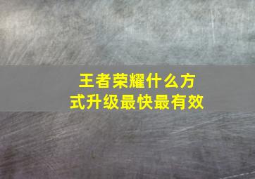 王者荣耀什么方式升级最快最有效