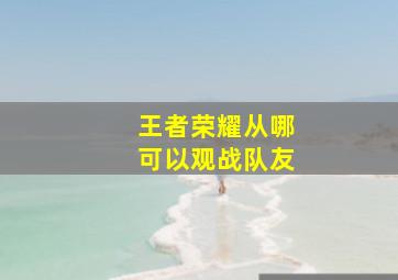 王者荣耀从哪可以观战队友