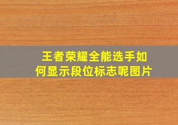 王者荣耀全能选手如何显示段位标志呢图片