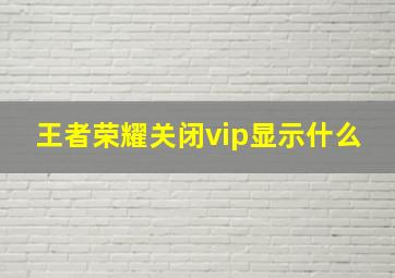 王者荣耀关闭vip显示什么