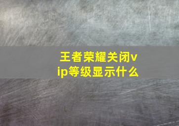 王者荣耀关闭vip等级显示什么