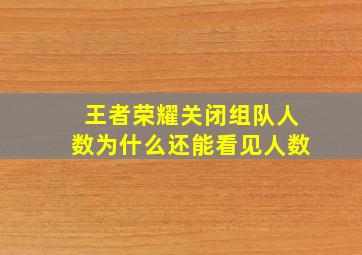 王者荣耀关闭组队人数为什么还能看见人数