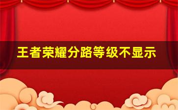 王者荣耀分路等级不显示