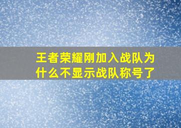 王者荣耀刚加入战队为什么不显示战队称号了