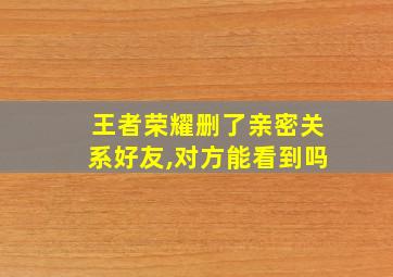 王者荣耀删了亲密关系好友,对方能看到吗