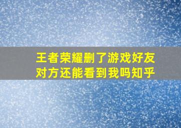 王者荣耀删了游戏好友对方还能看到我吗知乎