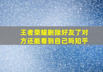 王者荣耀删除好友了对方还能看到自己吗知乎