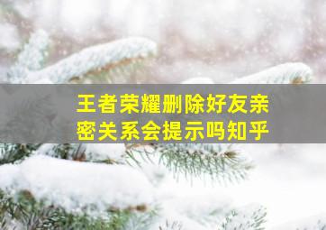 王者荣耀删除好友亲密关系会提示吗知乎