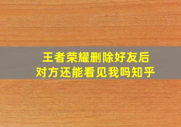 王者荣耀删除好友后对方还能看见我吗知乎