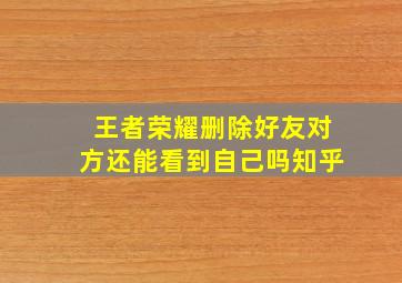 王者荣耀删除好友对方还能看到自己吗知乎