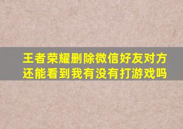 王者荣耀删除微信好友对方还能看到我有没有打游戏吗