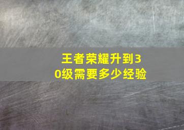 王者荣耀升到30级需要多少经验