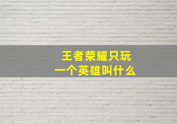 王者荣耀只玩一个英雄叫什么