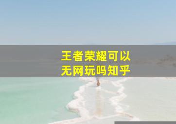 王者荣耀可以无网玩吗知乎