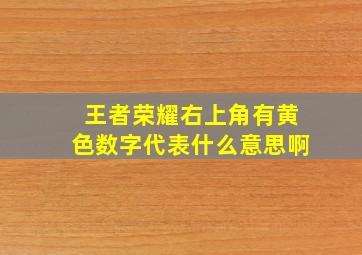 王者荣耀右上角有黄色数字代表什么意思啊