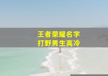 王者荣耀名字打野男生高冷