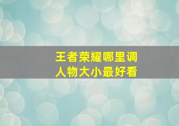 王者荣耀哪里调人物大小最好看