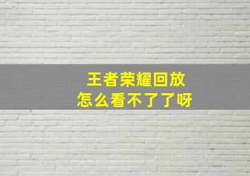 王者荣耀回放怎么看不了了呀