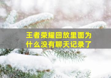 王者荣耀回放里面为什么没有聊天记录了