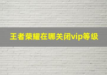 王者荣耀在哪关闭vip等级