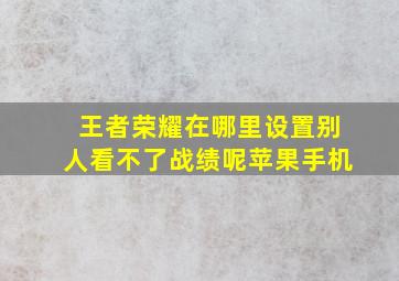 王者荣耀在哪里设置别人看不了战绩呢苹果手机