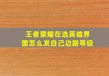 王者荣耀在选英雄界面怎么发自己边路等级