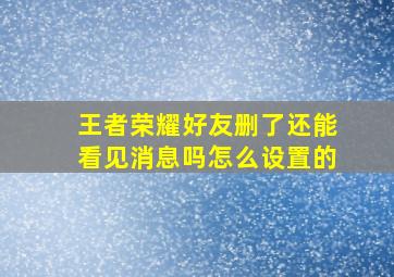 王者荣耀好友删了还能看见消息吗怎么设置的